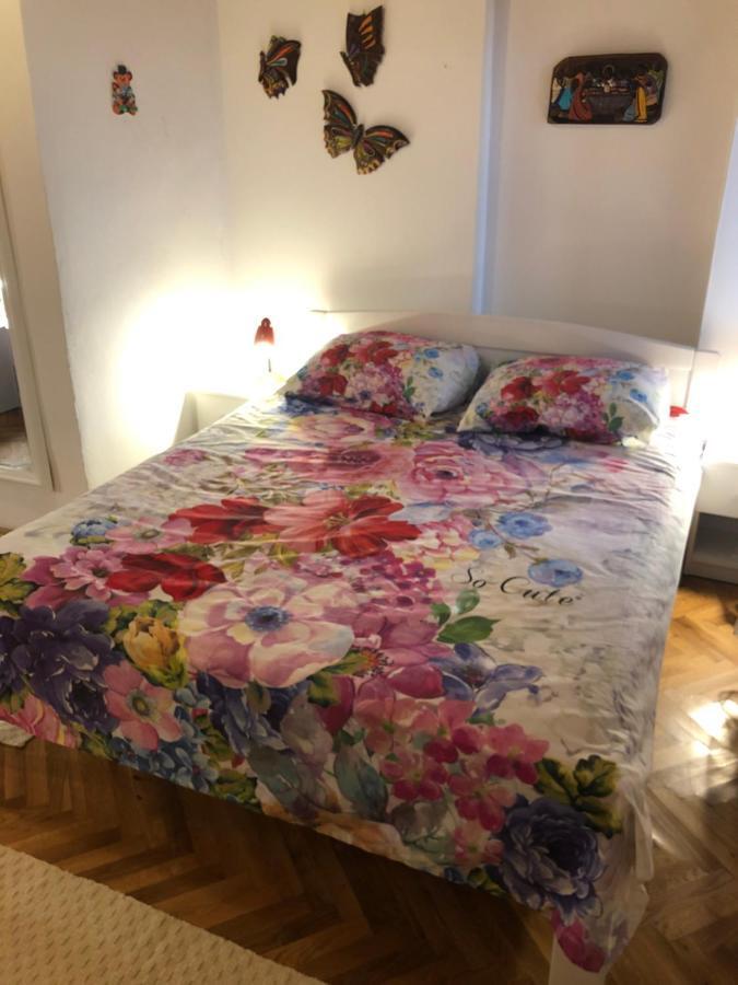 Studio Villa Mattossi Ровин Екстериор снимка